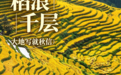 接下来的云南,将是……