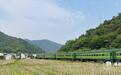 “走百村 看共富”蹲点报告③ | 乡村治理新算法:心顺路才顺