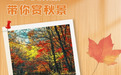 降温不等于红叶即刻上线!看懂红叶变色的气象密码
