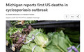 美国出现首例环孢子虫病致死案例,已致两人死亡,目前全美感染病例数已攀升至历史最高水平