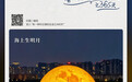 “海”边升明月,天涯共此时——有一种叫云南的生活之365天