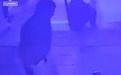 印度40岁女子遭20多岁男友暴打7分钟死亡:男方刚出狱不久,怀疑女友与朋友有染
