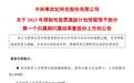 人均557万,寒武纪6.9亿元“员工大红包”股权激励将解锁到账