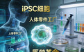 华辰生物:以iPSC技术引领“人体零件工厂”从科幻走向临床