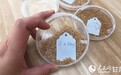 中国式现代化的万千气象—— 雾培棚里听“薯”事 探访甘肃定西马铃薯研究所