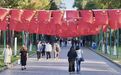 秋染冰城千重锦,旗耀松江万里歌丨国庆假期,全市累计接待游客970.2万人次,实现旅游总花费59.1亿元
