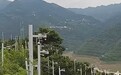 果园里密密麻麻立满监控?当地回应:农户为征地补偿加装,不单独赔偿
