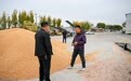内蒙古通辽:党支部领办合作社带动增产增收(5)
