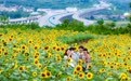 文化中国行|“声动”二十四节气·夏至