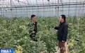 视频丨一起听懂地的话 “春耕合伙人”新模式带来新变化