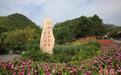 “两山”涌新机 浙江如何铺展现代化发展绿色“底色”?