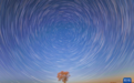 星空相册丨烂漫山花邂逅璀璨星河