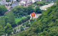 赓续长征精神 奋进复兴征程丨银杏树下 他们踏上漫漫长征路