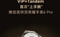ViP+Tandem首次“上手腕”|维信诺供货荣耀智能手表6 Pro