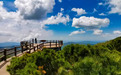 让林海“颜值”转化振兴“产值”