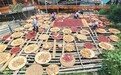 外国网友点赞中国“三农”新貌 乡土焕新出圈海外