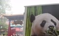 荷兰民众惜别大熊猫“朗月”(2)