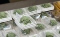 中国农大食堂“蛤蟆蛋糕”走红,每块售价9.9元,学生:去晚了买不到