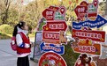 春节假期上海公园接待游客658万人次,同比增加36%