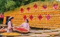 晶采观察丨“双节”晒秋热升温 释放乡村农文旅融合新动能