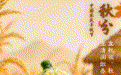 今天,来一口“森林奶油”!