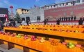 泾川苹果PK记