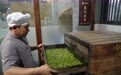 活力中国调研行丨武陵双茗出恩施(2)