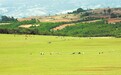生态价值、文旅产业、区域发展深度融合 昆明北部县区自然野趣旅游线路焕发新活力