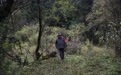 林海守初心 高原护青绿(5)
