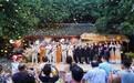 花香漫“浙”里!秋日赏花经济火热升温