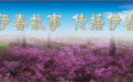 伊春,不再“远”!——哈伊高铁+两条高速即将通车,林都迎来历史性突破