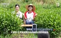 焦点访谈丨青春赴山海 天地有作为