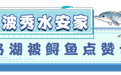 趣科普丨中国新特产鱼子酱,凭实力“鲜”遍全球