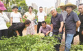 城市文明行丨菜园里的“联点共建”