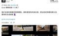 Grok Imagine Video 1.5模型上线:生成6秒720P视频仅需25秒