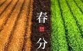 一半春寒,一半暖阳,春分藏着最温柔的人间诗意