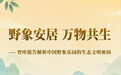 智库报告解析中国野象乐园的生态文明密码
