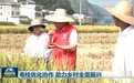 粤桂优化协作 助力乡村全面振兴