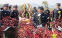 赓续英烈精神,守护荆楚通途,湖北交警开展祭扫追思活动