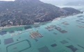 深读|打赢海参种业翻身仗