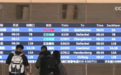 6.5亿人次、2.2亿人次……假期出行热气腾腾 “流动的中国”尽显蓬勃生机