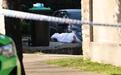 华人男子悉尼街头遭枪击身亡,警方:恐与黑帮仇杀有关