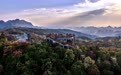 诗意中国丨几日春风又春雨 杜鹃依旧映山红(27)#