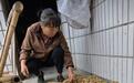 “8个鸡蛋”少年贺永辉要去湖南农大报到了,妈妈的话让人泪目