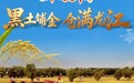 黑土铺金 仓满龙江