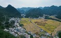 何以中国·青绿人间丨万峰成林绿生金 山水田园入画来