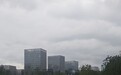 上海浦东“水”五环交出惠民“实”答卷