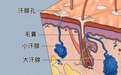 【京沪三甲名医集结郑州科大】2026青少年腋臭特需门诊启动