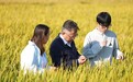 吉农植保护航粮食安全——科技赋能良田 匠心守护丰收