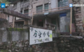 化身一日村咖店主 解锁临海古村的流量密码